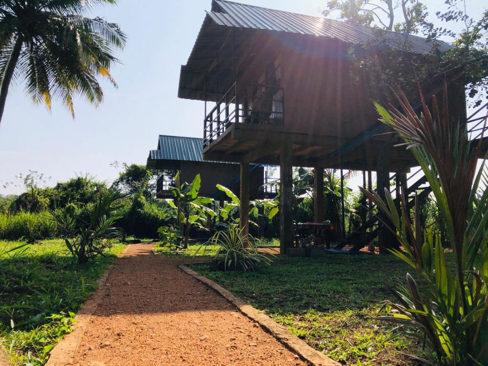 Sigiriya Paddy Field Hut Villa Kamer foto