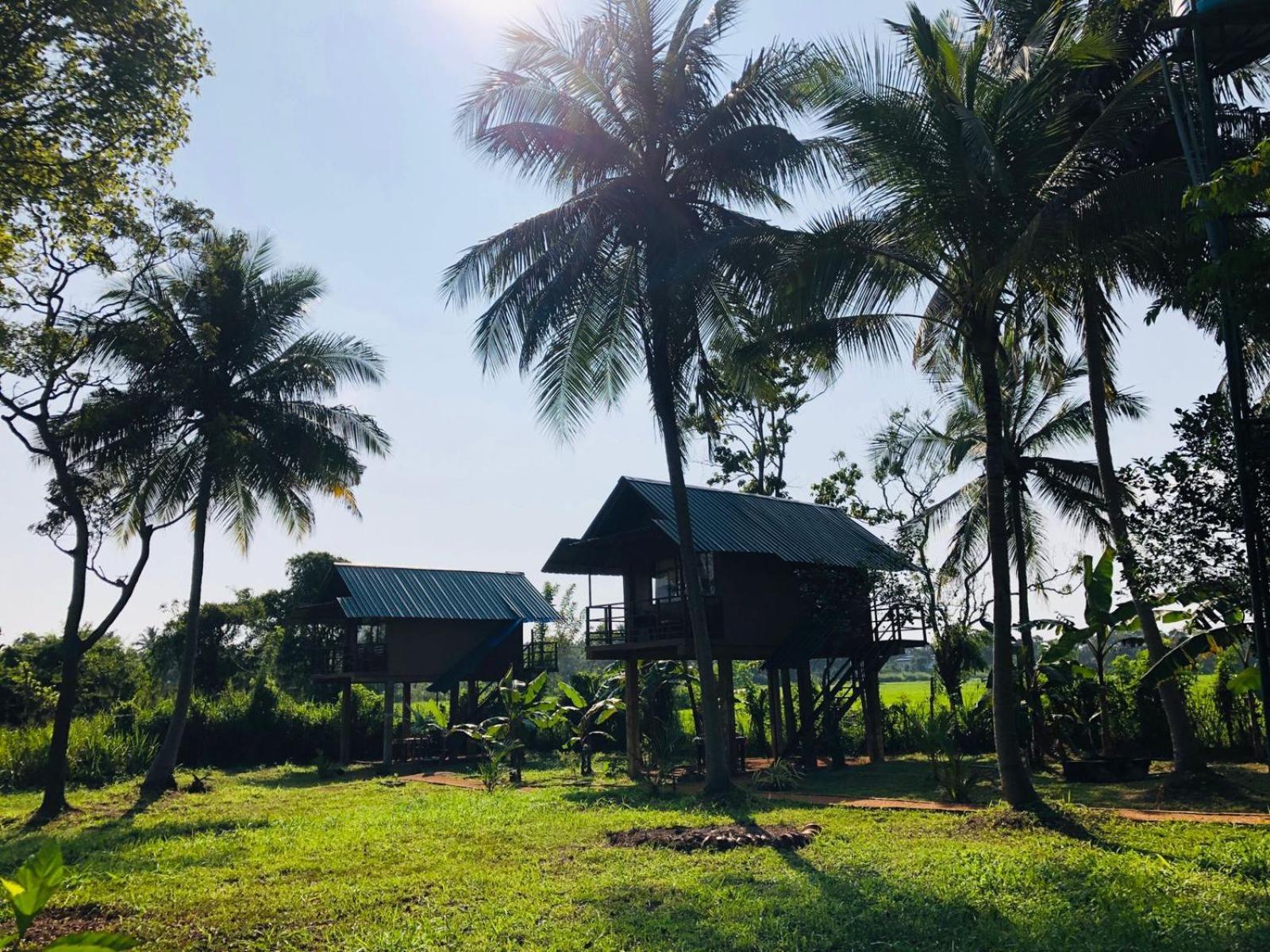 Sigiriya Paddy Field Hut Villa Kamer foto